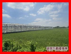 誠昱/將軍等你來買室內.