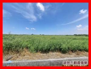 誠昱/七股濱海公路90.