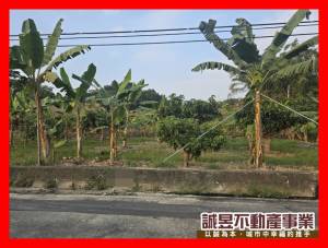 誠昱/左鎮化石館旁臨路農地
