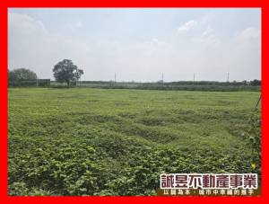 誠昱/佳里後庄大面寬優.