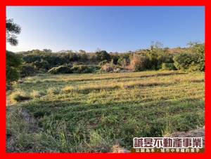 誠昱/台中航空城都計內農.